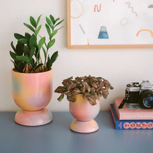 Cargar imagen en el visor de la galería, Temple ceramica maceta euphoria