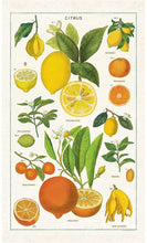 Cargar imagen en el visor de la galería, Trapo de cocina citrus / tea towel citrus
