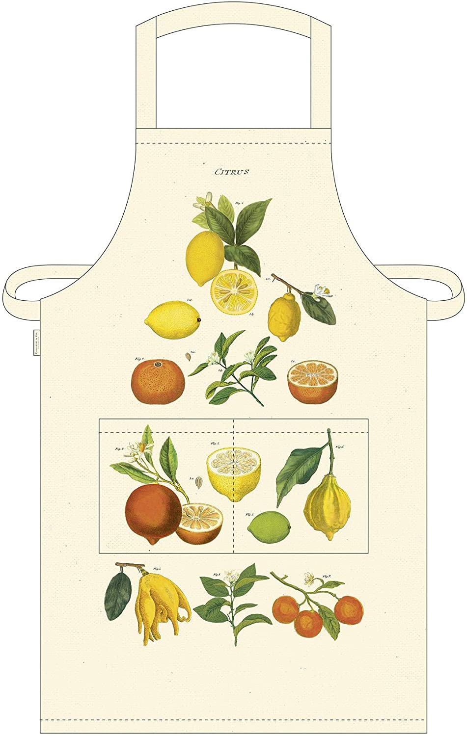 Cavallini - Delantal citrus
