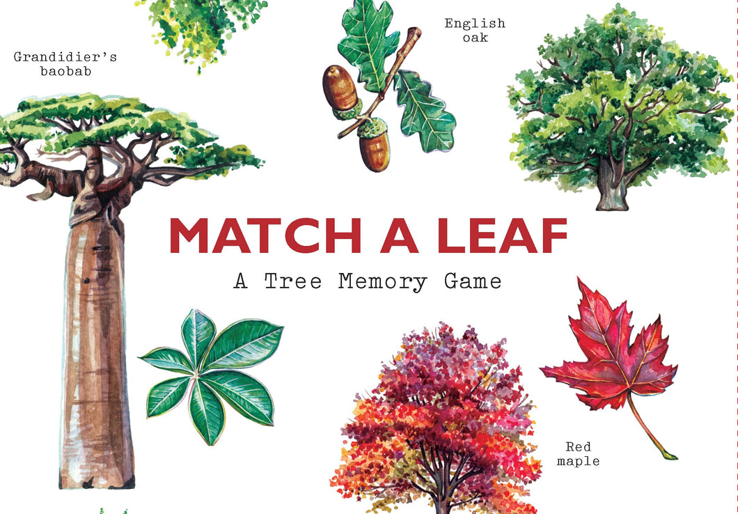 Match a Leaf A Tree Memory Game
