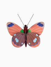 Cargar imagen en el visor de la galería, Mariposa Delias / Delias butterfly
