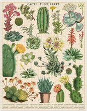 Load image into Gallery viewer, Cavallini - Puzzle Cacti succulents

