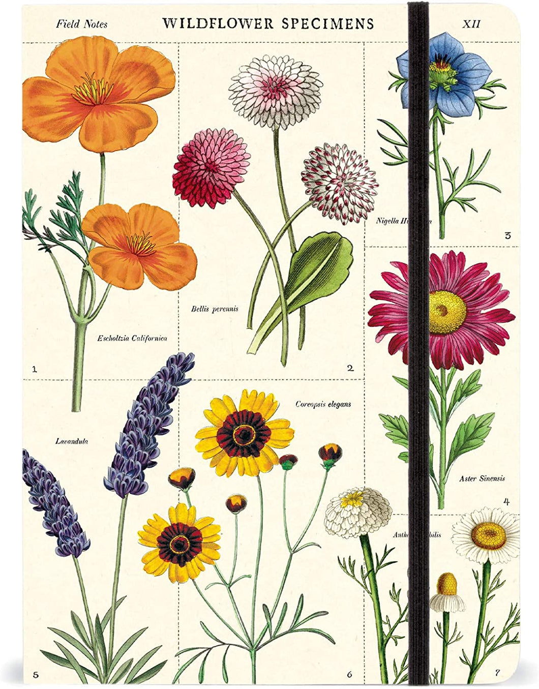 Cuaderno / Notebook Vintage wildflowers