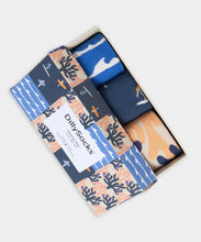 Load image into Gallery viewer, Dilly socks Caja de regalo 3 pares de calcetines
