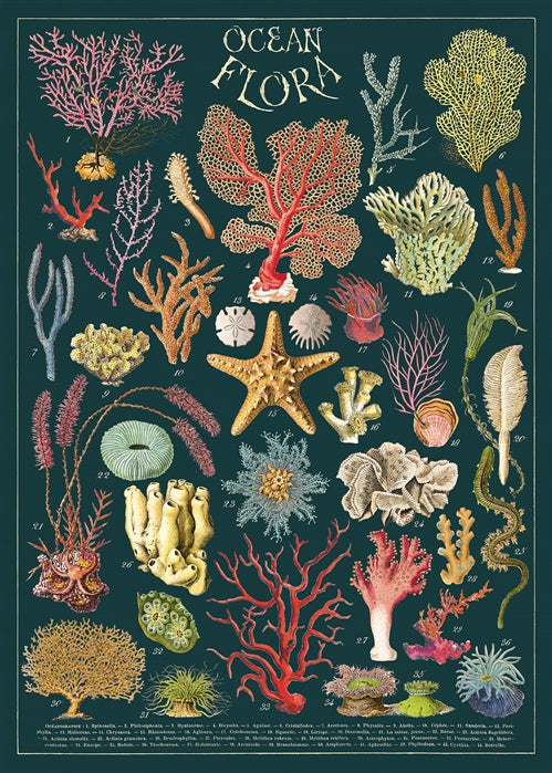 Cavallini - Póster Flora oceánica