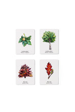 Cargar imagen en el visor de la galería, Match a Leaf A Tree Memory Game
