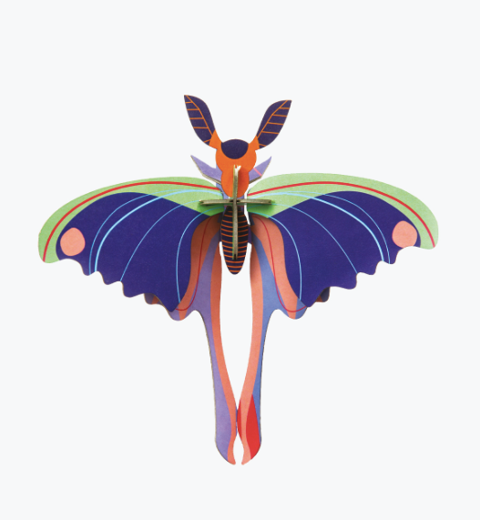 Mariposa cometa azul / Blue comet butterfly