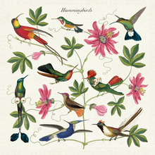 Cargar imagen en el visor de la galería, Cavallini - Servilletas de tela colibri / Napkins hummingbirds
