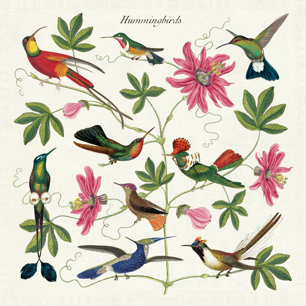Cavallini - Servilletas de tela colibri / Napkins hummingbirds