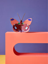 Cargar imagen en el visor de la galería, Mariposa Delias / Delias butterfly
