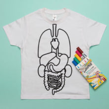 Load image into Gallery viewer, Pinta tu camiseta de los organos del cuerpo
